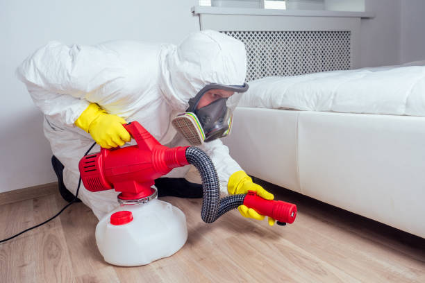 Emergency Pest Control in Westwood Lakes, FL